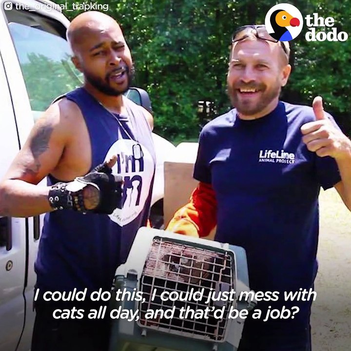 This guy is proving you don't have to be a cat lady to be obsessed with saving cats 