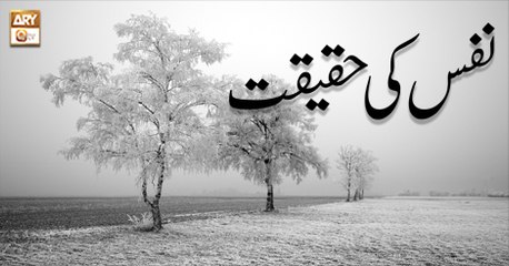 Roshni Sab Kay Liye - 19th July 2018 - ARY Qtv