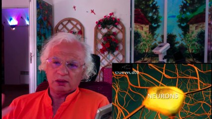 351 LES 4 CHOSES NOIRE QUI ACCELERENT LE COEUR ET FATIGUE LE CERVEAU