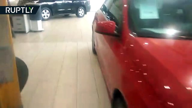 شاهد بالفيديو.. أيل يقتحم محلا لبيع السيارات في موسكو
