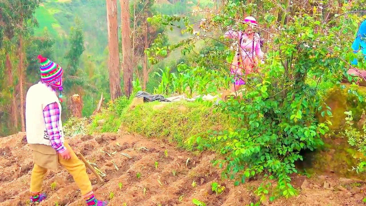 Amor en CIUDAD vs amor en CAMPO 2