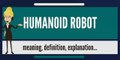 What is HUMANOID ROBOT? What does HUMANOID ROBOT mean? HUMANOID ROBOT meaning & explanation