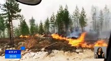 Incêndios obrigaram à evacuação de várias cidades na Suécia