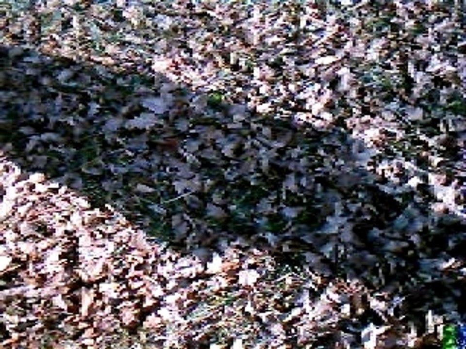IMAG0131
