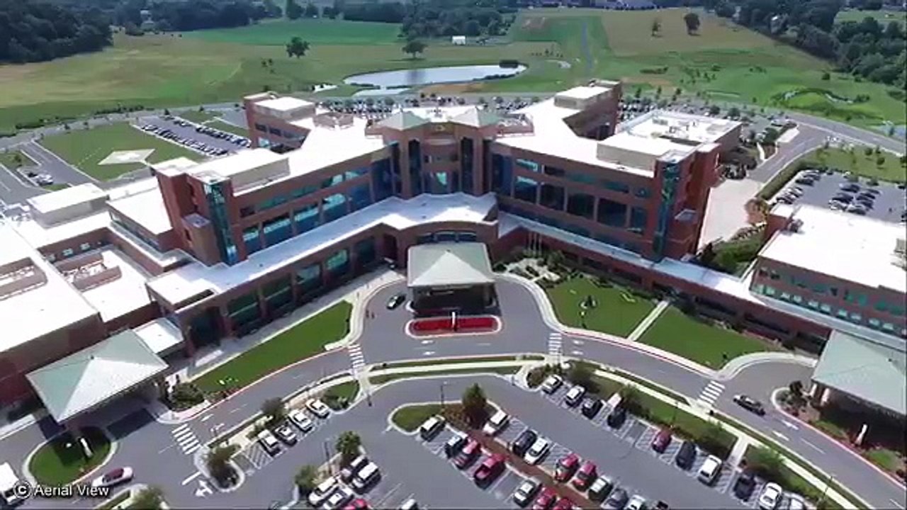 5 Strange People Who Bite Snakes To Death