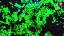 avance - Los 9 minerales fluorescentes mas impresionantes | Foro de minerales