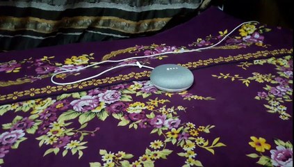 Google Home Mini Singing Happy Birthday Song