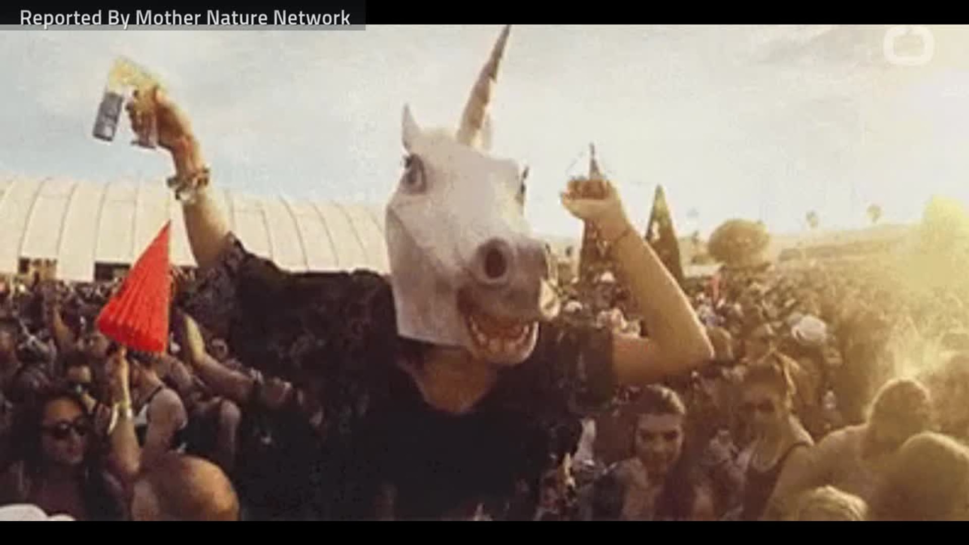 ⁣How Do Loud Music Festivals Effect Hearing?