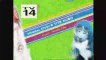 【AMV Bleach】～ Asterisk Full Song With Full Japanese Lyrics ～ 2014 ～ 480p