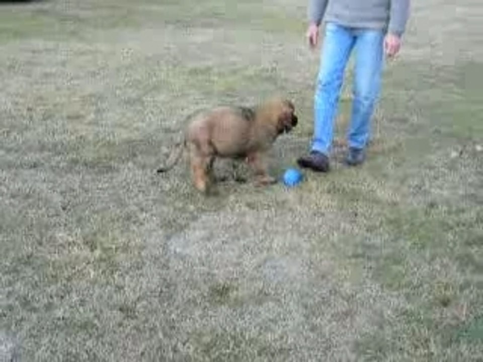 Jeux avec les 2 pattes 1ère partie