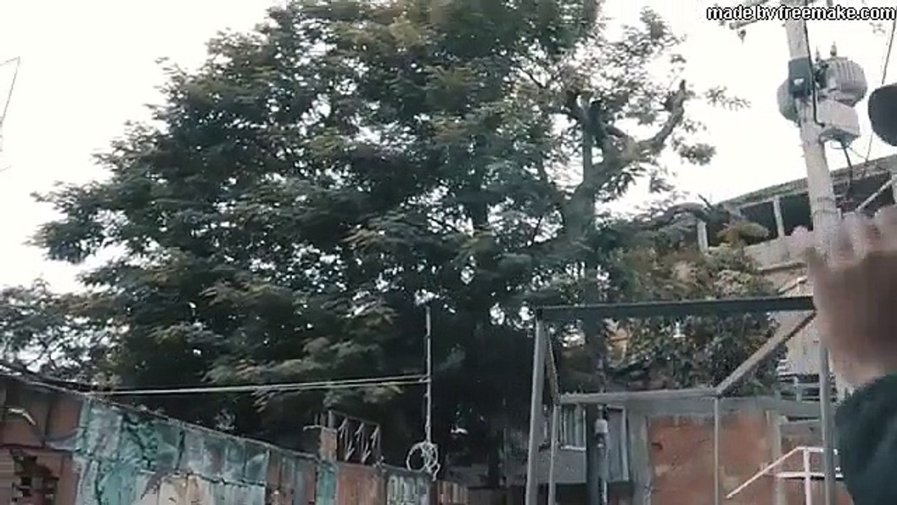 Cypher Alma de Favela - Pelé MilFlows, CT, DoisP, Baviera, MZ e Chris (Prod