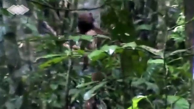 آخر الهنود الحمر.. يعيش في غابة لمدة 22 سنة