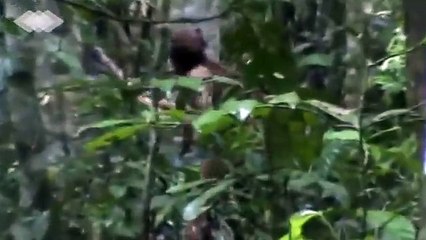 آخر الهنود الحمر.. يعيش في غابة لمدة 22 سنة