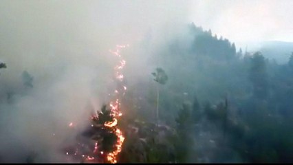 Sweden wildfires: Worst drought in 74 years