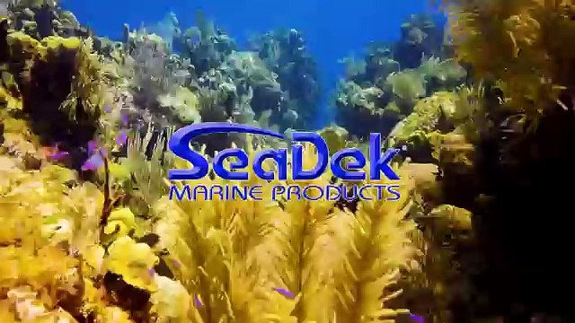 Adventures of Crocodile Bay part 2 ! Fishing in Costa Rica