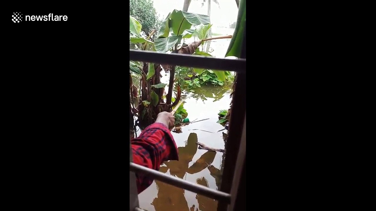 Indians go fishing at home after monsoon floods draw school of catfish