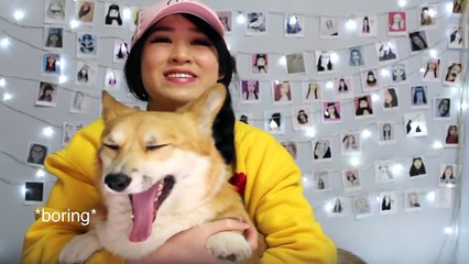 Do You Know These Dog Breeds?