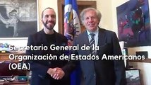 Video, Reunión de Nayib Bukele con el Secretario General de la OEA Luis Almagro