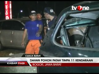 Dahan Pohon Patah Timpa 11 Kendaraan