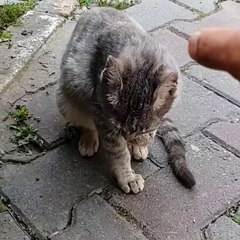 Galaxy S9&S9+`da Süper Ağır Çekim özelliği denemesi