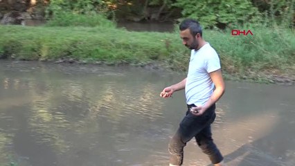 Kütahya Domaniç'te Toplu Balık Ölümleri