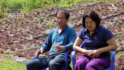 3개월 시한부 판정을 뒤집은 여자가 있다?! 기적의 #건강밥상