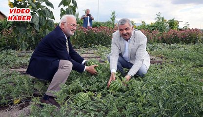 (22 Temmuz 2018) BÜYÜKŞEHİR İLE % 100 DOĞAL % 100 ORGANİK