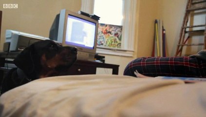 FBI Undercover 2015 Crime Doc Pt 1/2 part 2/2