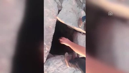 Kuyuya Düşen Köpeği Mahalle Sakinleri Kurtardı