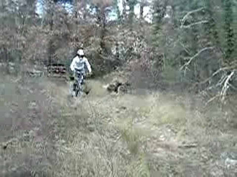 P1010193