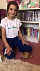 Pet Rat Doing Tricks for Treats