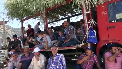 Aydın'da 4. Boğa Güreşi Festivali