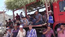 Aydın'da 4. Boğa Güreşi Festivali