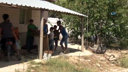 Antalya'da Orman Yandı: Birçok Ev ve Sera Zarar Gördü