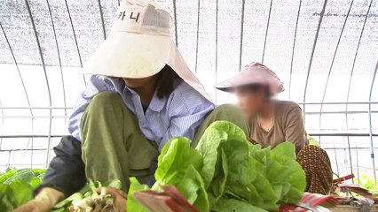 외국인 '최저임금 인상'...중소업체·농촌 속앓이 / YTN