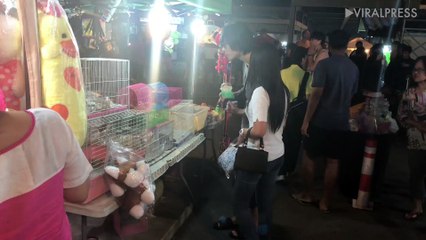 Baby squirrels for sale on market stall