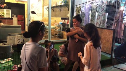 The Tourists Pay to Cuddle Piglets at Thai Market