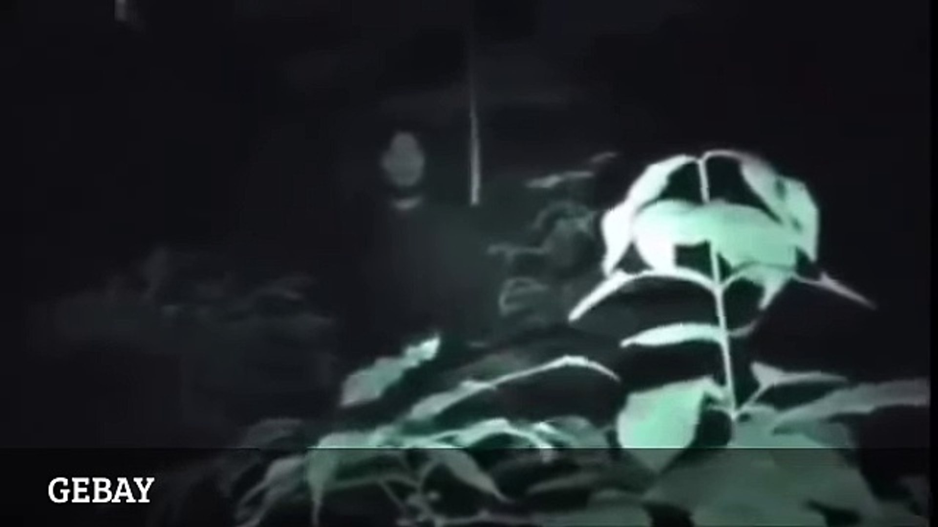 6600 Koleksi Download Wallpaper Hantu Pocong Gratis Terbaik