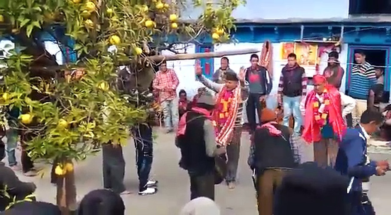 Pandav Jagar Dhol Damo
