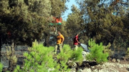 Manisa'da orman yangını... 50 dönüm ormanlık arazi zarar gördü