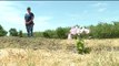 `I Wouldn`t Even Want My Dogs Buried Here`: Conditions at California Cemetery Upset Owner, Visitors