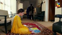 Ishq Tamasha Epi #20 HUM TV Drama 22 July 2018