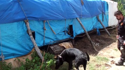 Tokat'ta kaybolan 3 yaşındaki Evrim'in amcası serbest bırakıldı