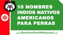 10 nombres indios nativos americanos para perras - mascotas - www.nombresparamimascota.com