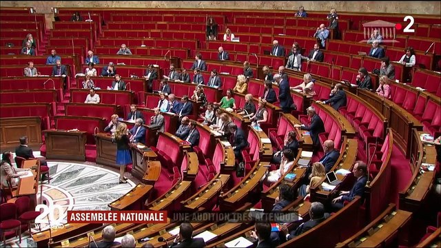 Affaire Benalla : Gérard Collomb très attendu