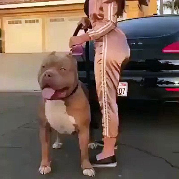 What about this beast?! 