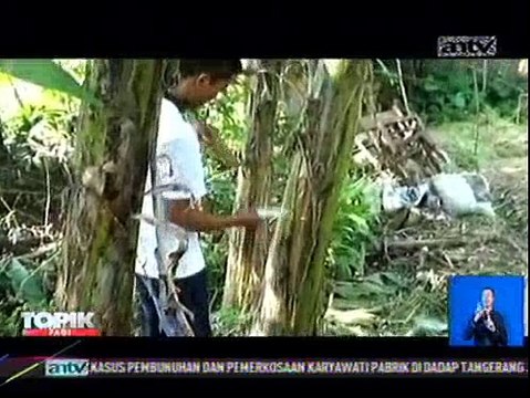 Lukisan Unik, Gunakan Pelepah Pisang Sebagai Medianya