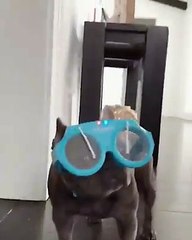 Blockin out all the haters like...