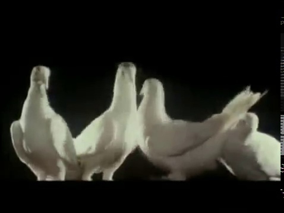 Udit Narayan - Kabootri Bole Kabootar Se  | HINDI OLD HD SONG