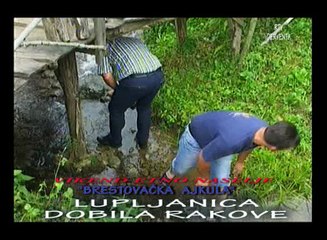 DERVENTA, U LUPLjANICI MALOJ RJEČICI VRATILI SE PONOVO  RAKOVI